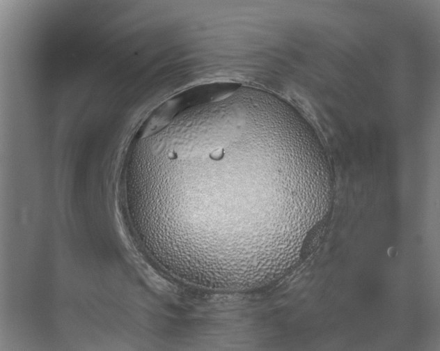 X0000074960145200609152105