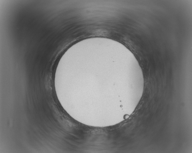 X0000074960146200609152105