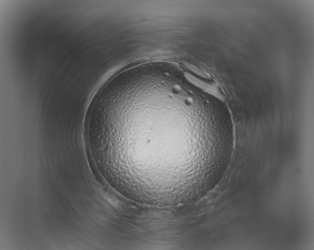 X0000074960147200609152105