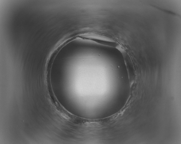 X0000074960150200609152105