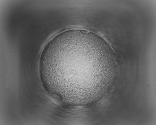 X0000074960151200609152105