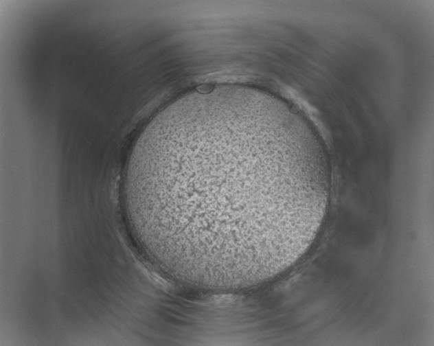 X0000074960153200609152105