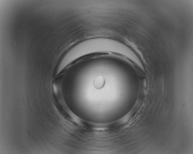 X0000074960154200609152105