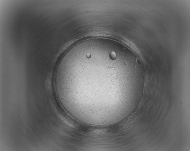 X0000074960155200609152105