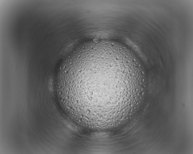 X0000074960161200609152105