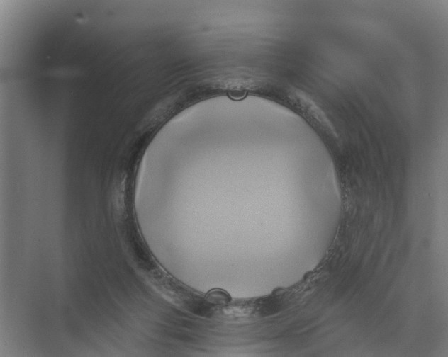 X0000074960163200609152106