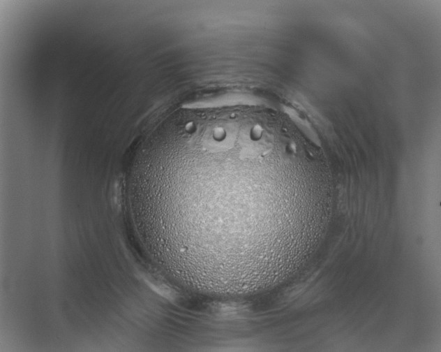 X0000074960165200609152106