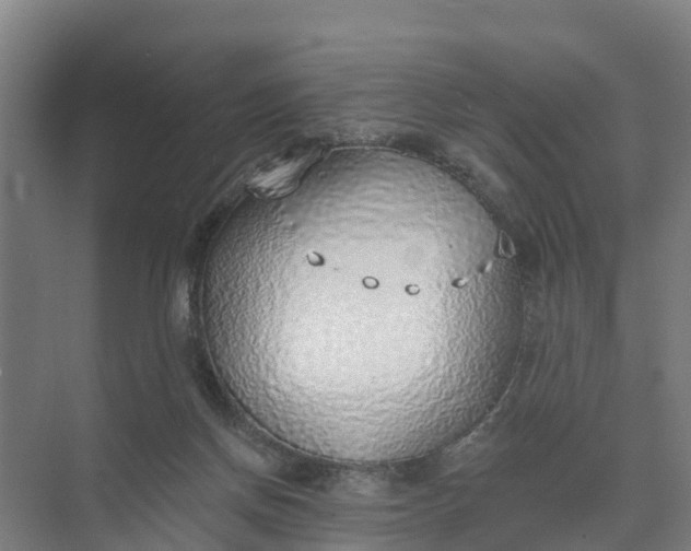 X0000074960166200609152106