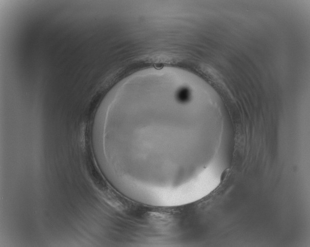 X0000074960167200609152106