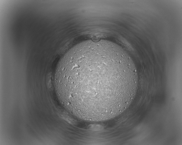 X0000074960169200609152106