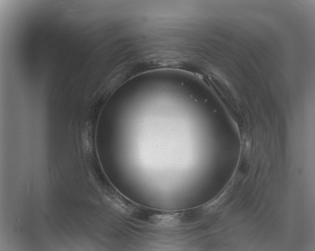 X0000074960170200609152106