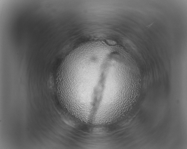 X0000074960173200609152106