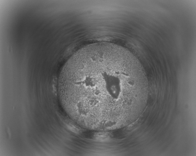 X0000074960175200609152106