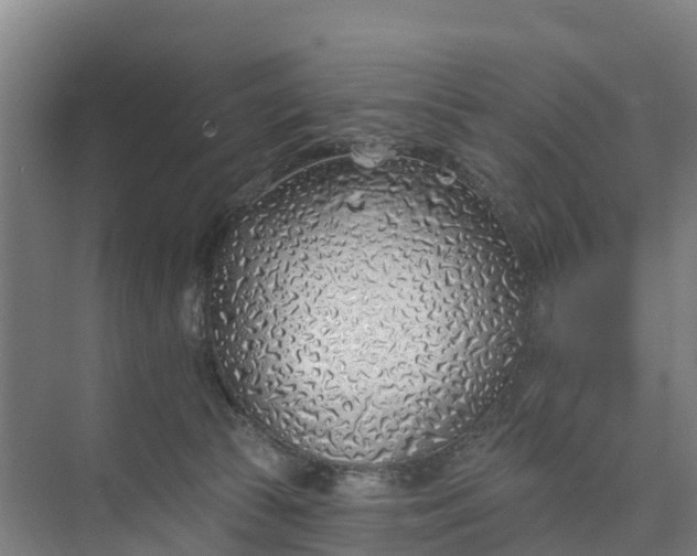 X0000074960177200609152106