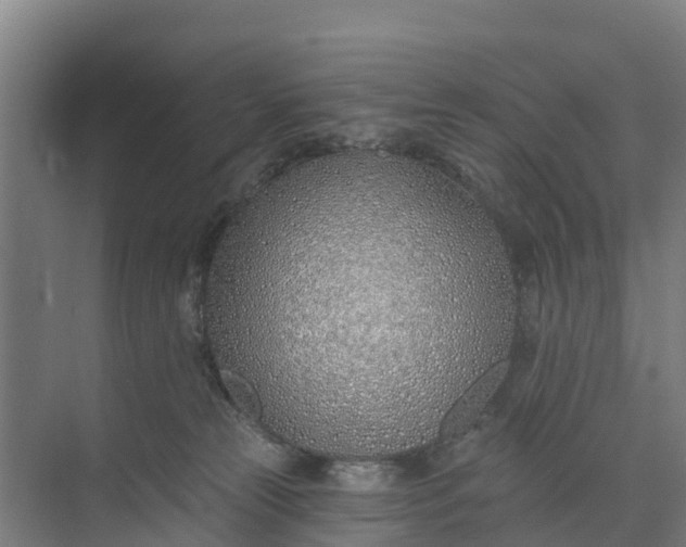 X0000074960181200609152106