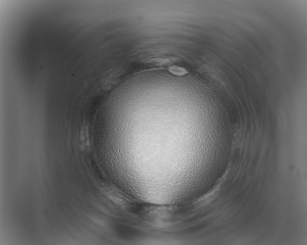 X0000074960182200609152106