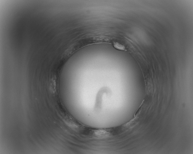 X0000074960183200609152106