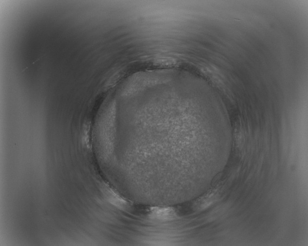 X0000074960185200609152106