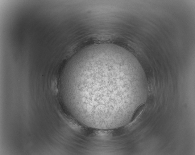 X0000074960187200609152106