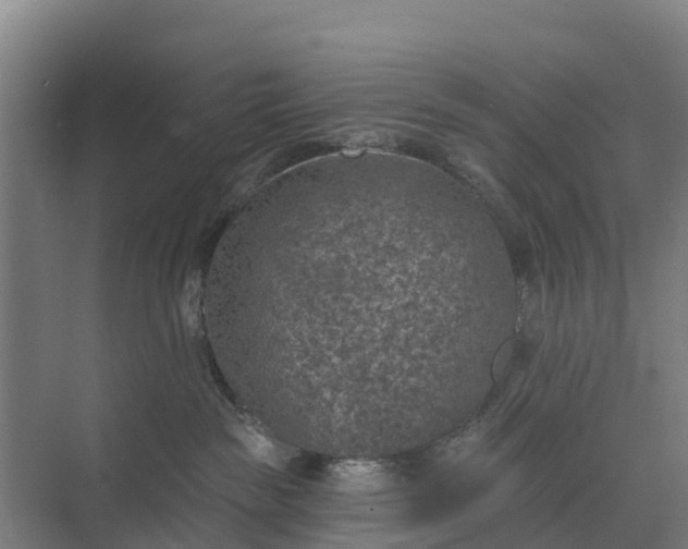 X0000074960189200609152106