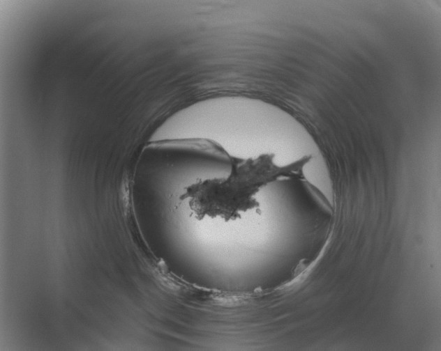 X0000074960190200609152106