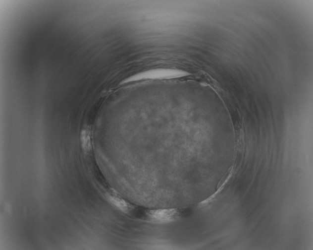 X0000074960191200609152106