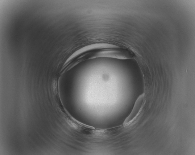 X0000074960192200609152106