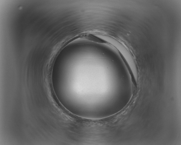 X0000074960193200609152105