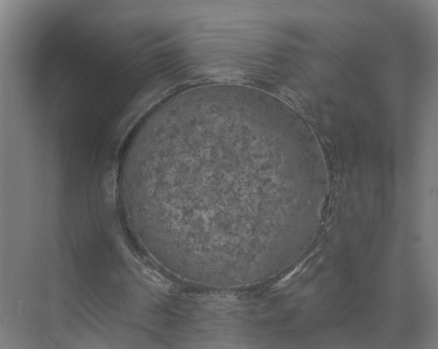 X0000074960194200609152105