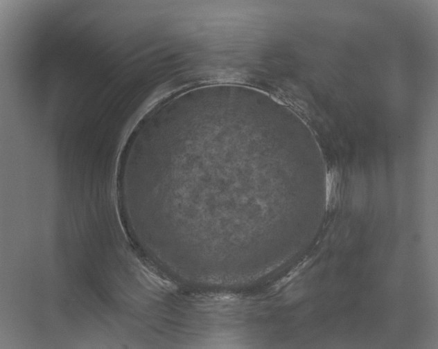 X0000074960195200609152105