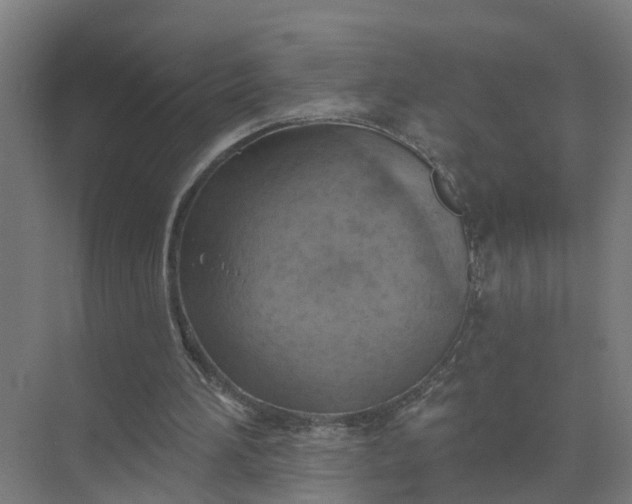 X0000074960196200609152105