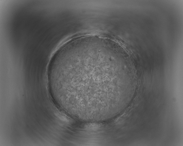 X0000074960198200609152105