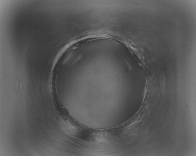 X0000074960200200609152105