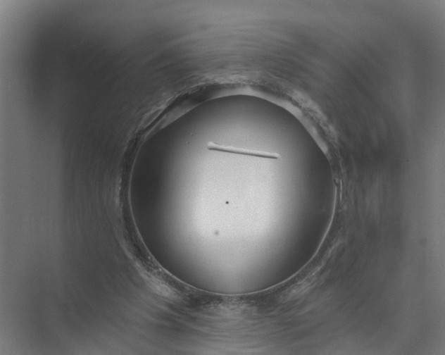 X0000074960201200609152105