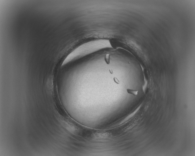 X0000074960202200609152105