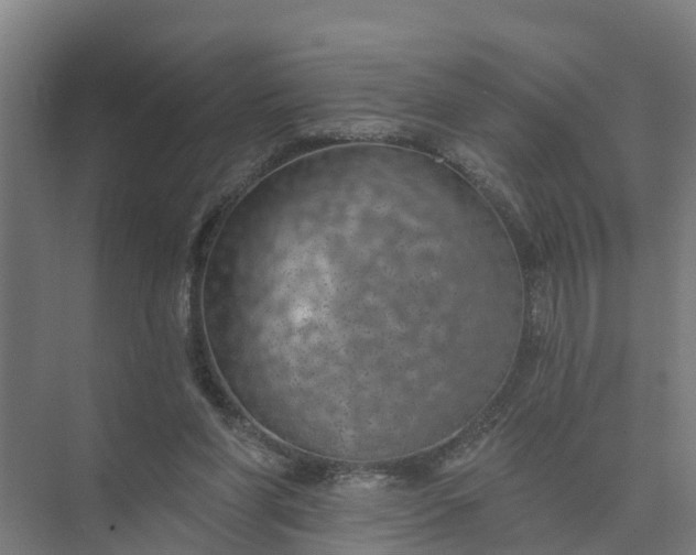 X0000074960206200609152105