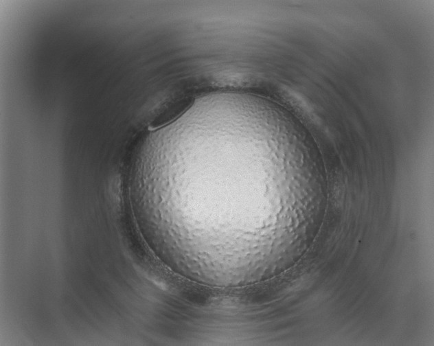 X0000074960211200609152105