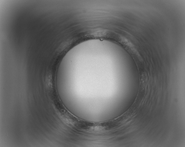 X0000074960212200609152105