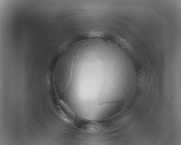 X0000074960215200609152105