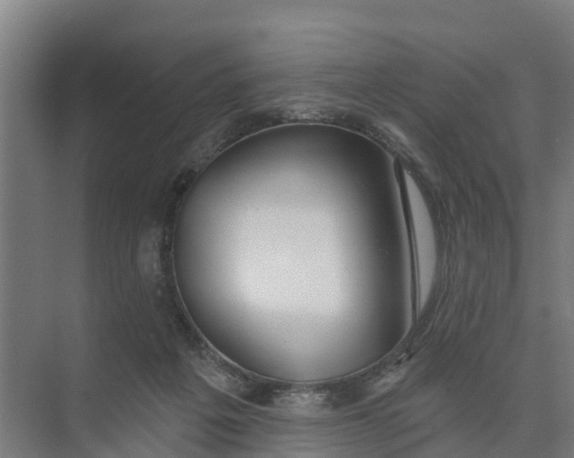 X0000074960217200609152105