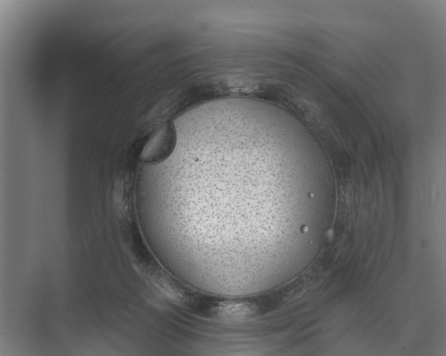 X0000074960218200609152105