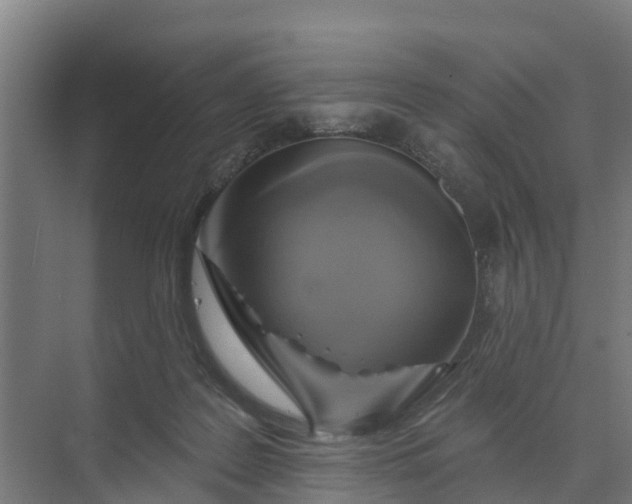 X0000074960219200609152105