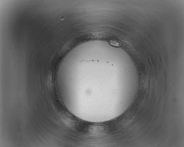 X0000074960220200609152105