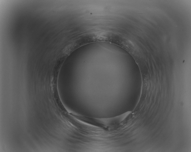 X0000074960223200609152105