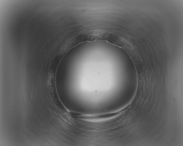 X0000074960225200609152105