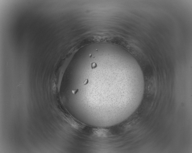 X0000074960226200609152105