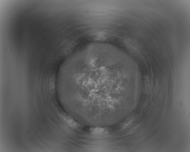 X0000074960230200609152105