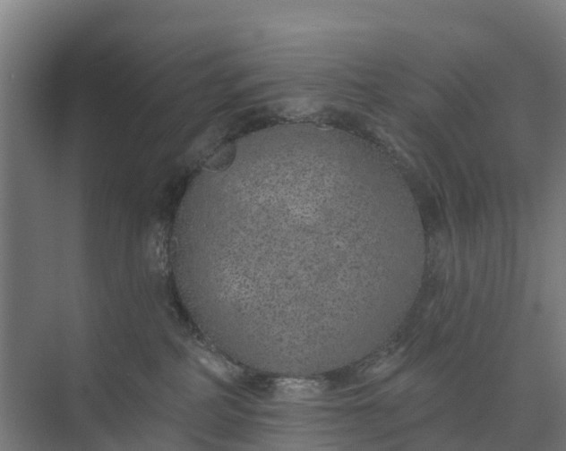 X0000074960234200609152104