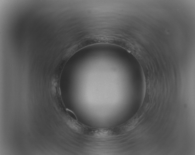 X0000074960235200609152104