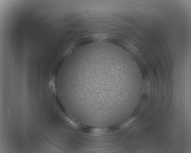 X0000074960238200609152104